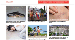 Desktop Screenshot of pragita.com